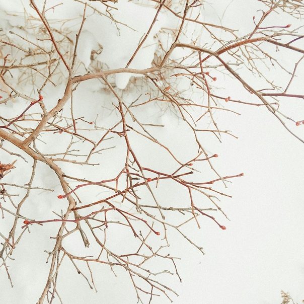 Neuronale Entspannung durch Cranio 