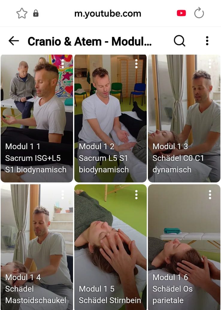 Videogallerie Craniotechniken und Griffe für Selbststudium