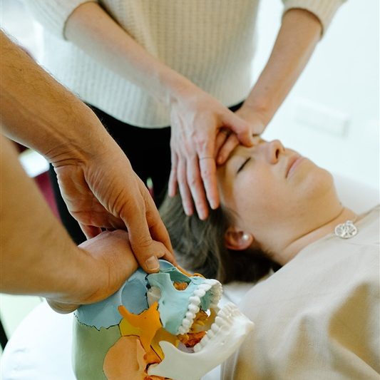 Cranio lernen durch direktes Feedback vom Trainer