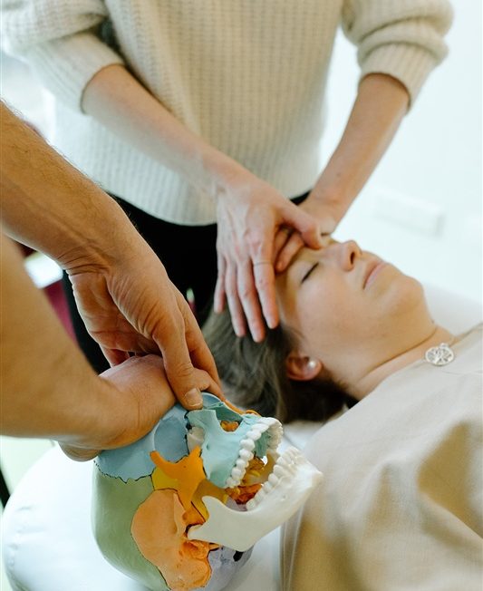 Craniosacral für Nervensystem Regulation am Bauch