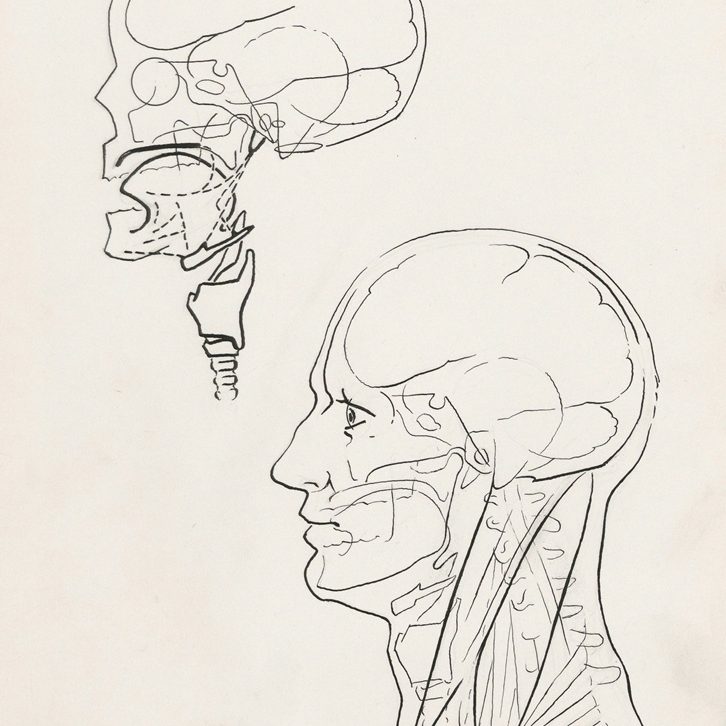 Cranio praxisnah lernen